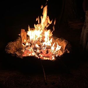 Meet your Posher, Austin